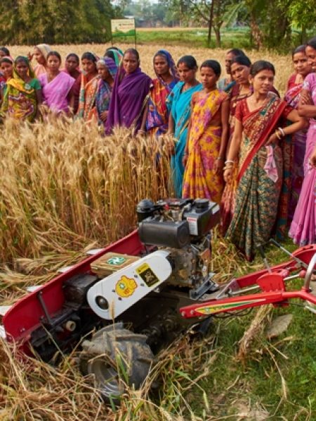 ????????????????????????????????????