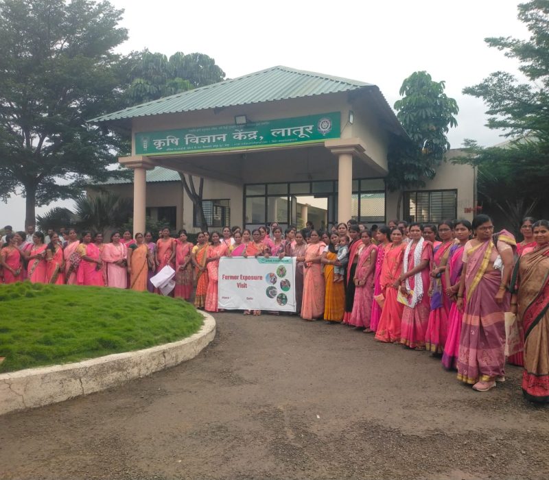 WhatsApp Image 2024-11-04 at 11.54.24 AM (1)